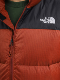 Куртки и дубленки The North Face модель NF0A4M9JWEW1 Фото