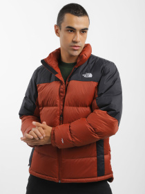 Куртки и дубленки The North Face модель NF0A4M9JWEW1 Фото