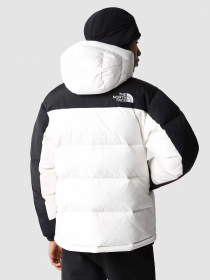 Куртки и дубленки The North Face модель NF0A4QYXN3N1 Фото