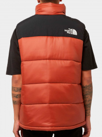 Куртки и дубленки The North Face модель NF0A4QZ4WEW1 Фото