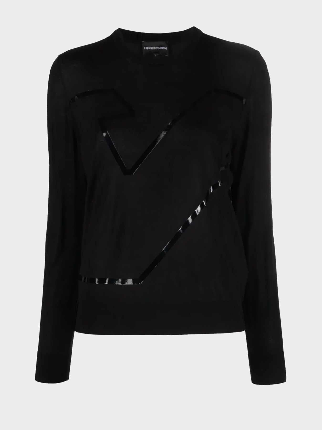 Худи и свитшоты Emporio Armani модель 6R2MWE-2M08Z-0020 Фото