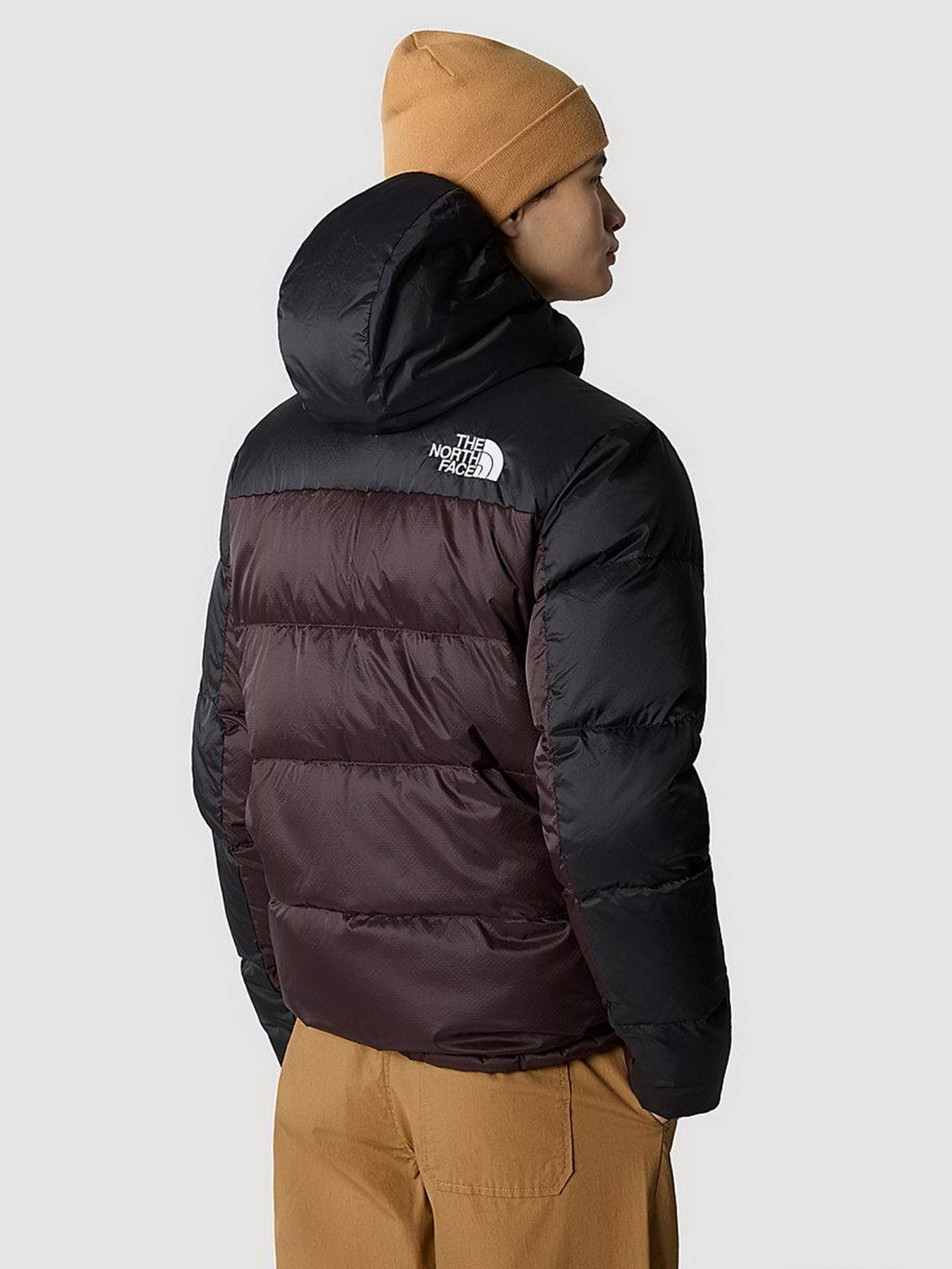 Куртки и дубленки The North Face модель NF0A7X16LOS1 Фото
