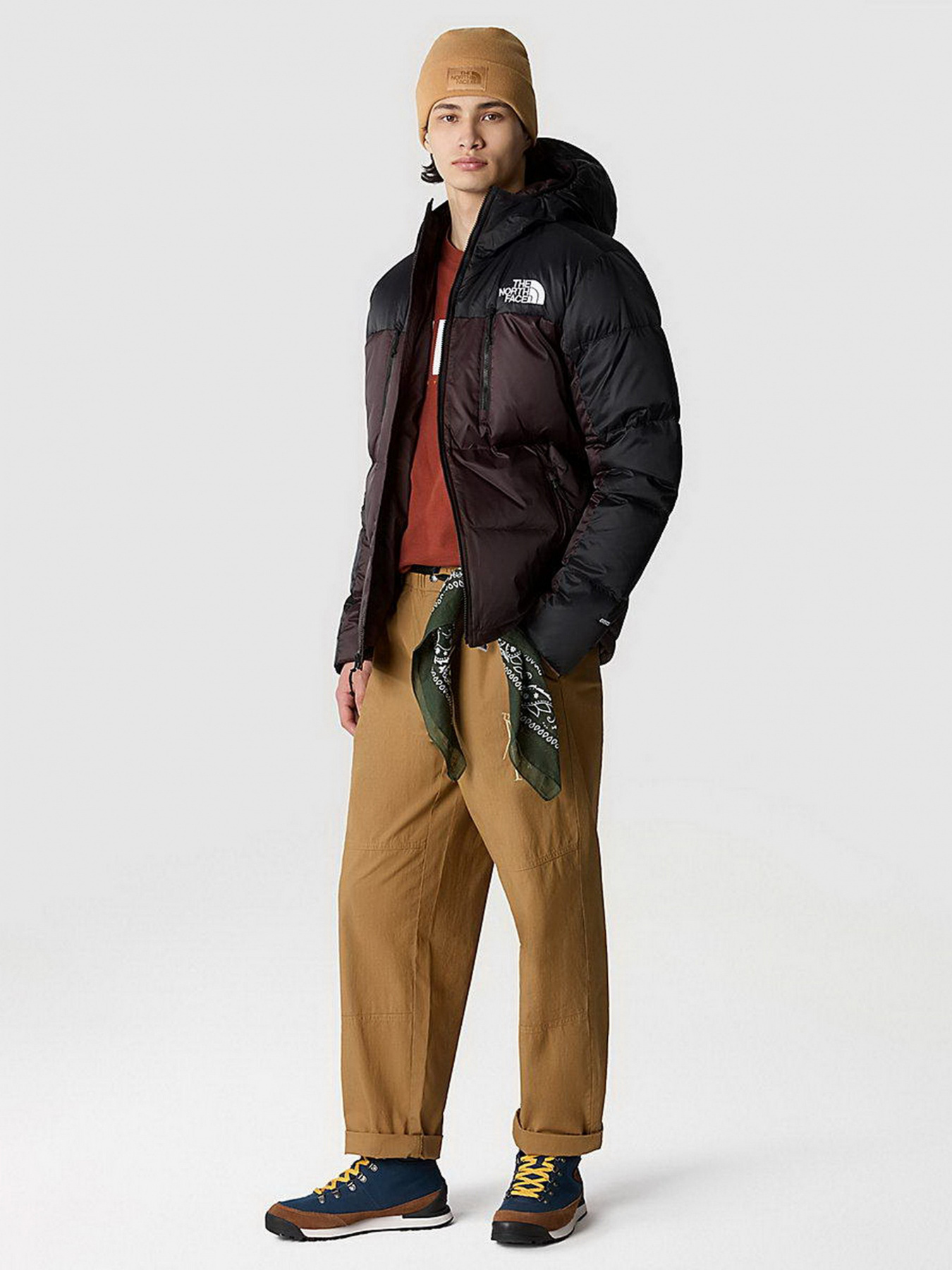 Куртки и дубленки The North Face модель NF0A7X16LOS1 Фото