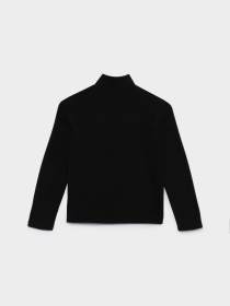 Худи и свитшоты The North Face модель NF0A82D1JK31 Фото