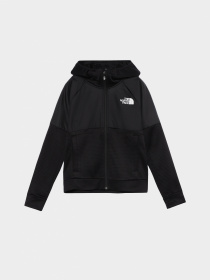 Худи и свитшоты The North Face модель NF0A82E3JK31 Фото