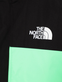 Куртки и дубленки The North Face модель NF0A82ST8YK1 Фото