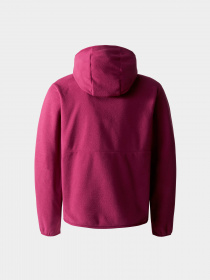 Куртки и дубленки The North Face модель NF0A82TVI0H1 Фото