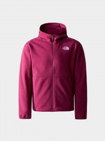 Куртки и дубленки The North Face модель NF0A82TVI0H1 Фото