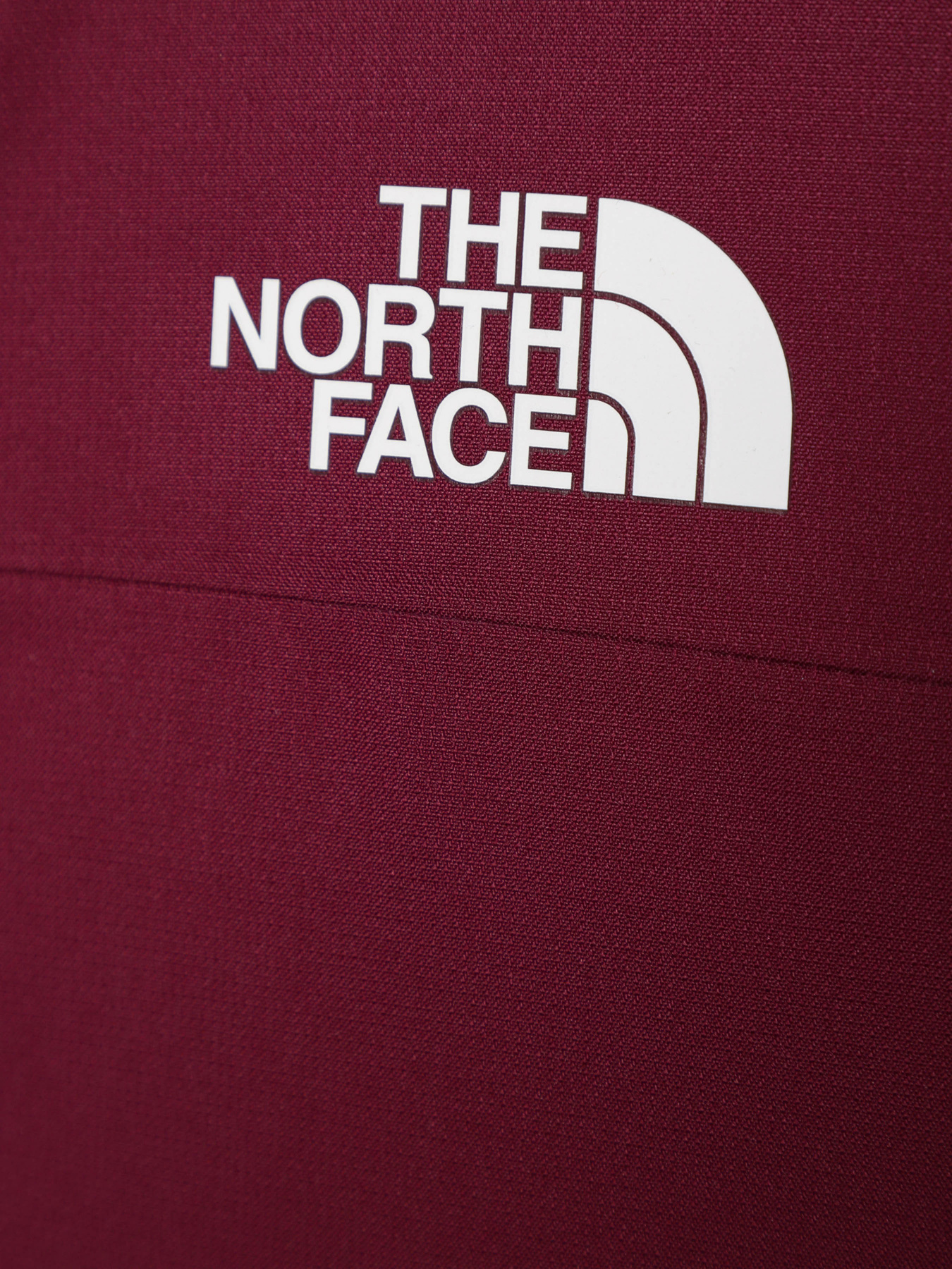 Куртки и дубленки The North Face модель NF0A82Y6I0H1 Фото