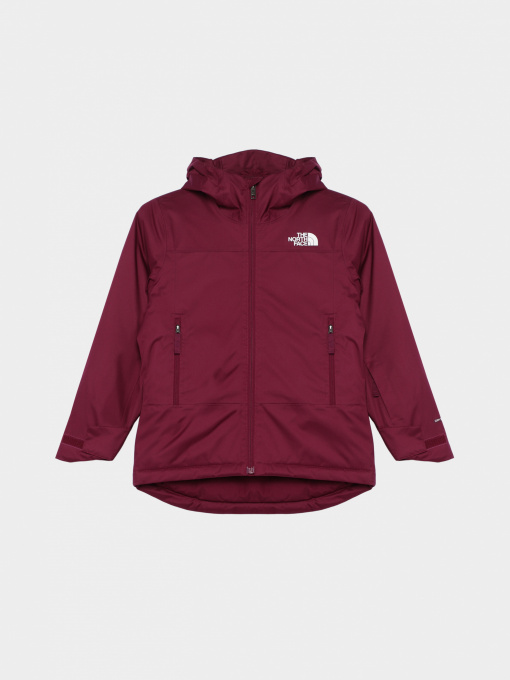 Куртки и дубленки The North Face модель NF0A82Y6I0H1 Фото