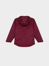 Куртки и дубленки The North Face модель NF0A82Y6I0H1 Фото