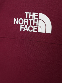 Куртки и дубленки The North Face модель NF0A82Y6I0H1 Фото