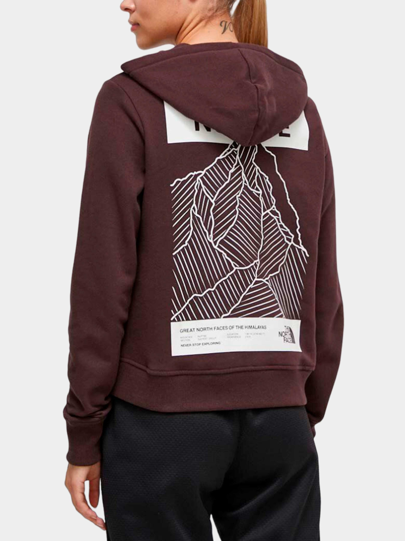 Худи и свитшоты The North Face модель NF0A854DI0I1 Фото