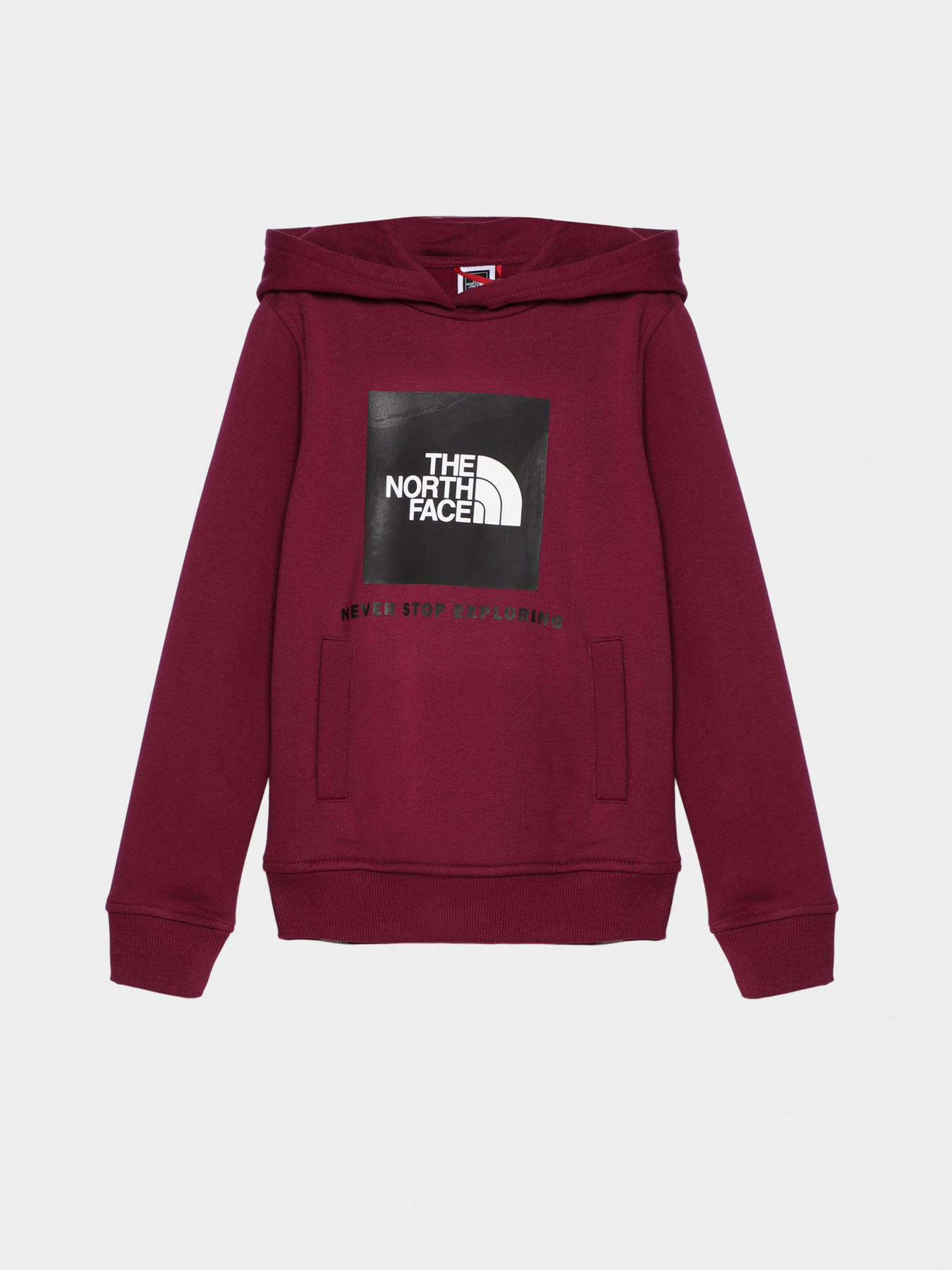 Худи и свитшоты The North Face модель NF0A855BI0H1 Фото