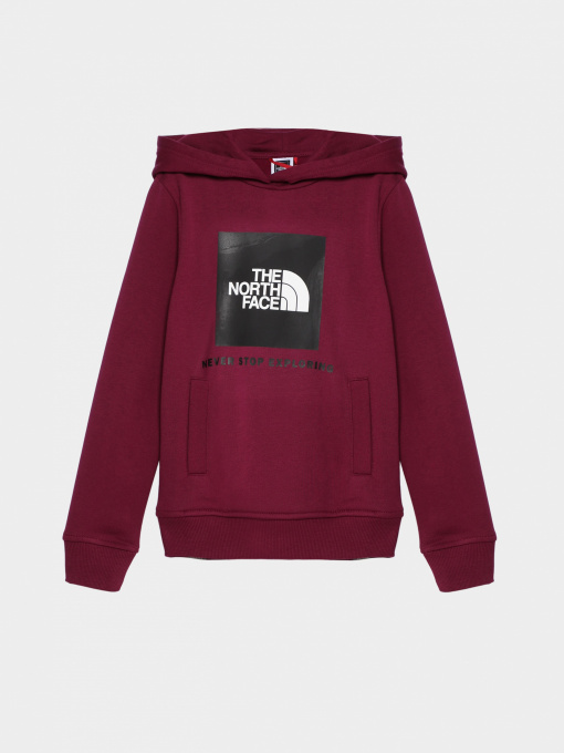 Худи и свитшоты The North Face модель NF0A855BI0H1 Фото