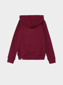 Худи и свитшоты The North Face модель NF0A855BI0H1 Фото
