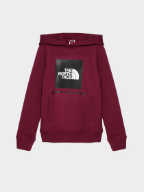 Худи и свитшоты The North Face модель NF0A855BI0H1 Фото