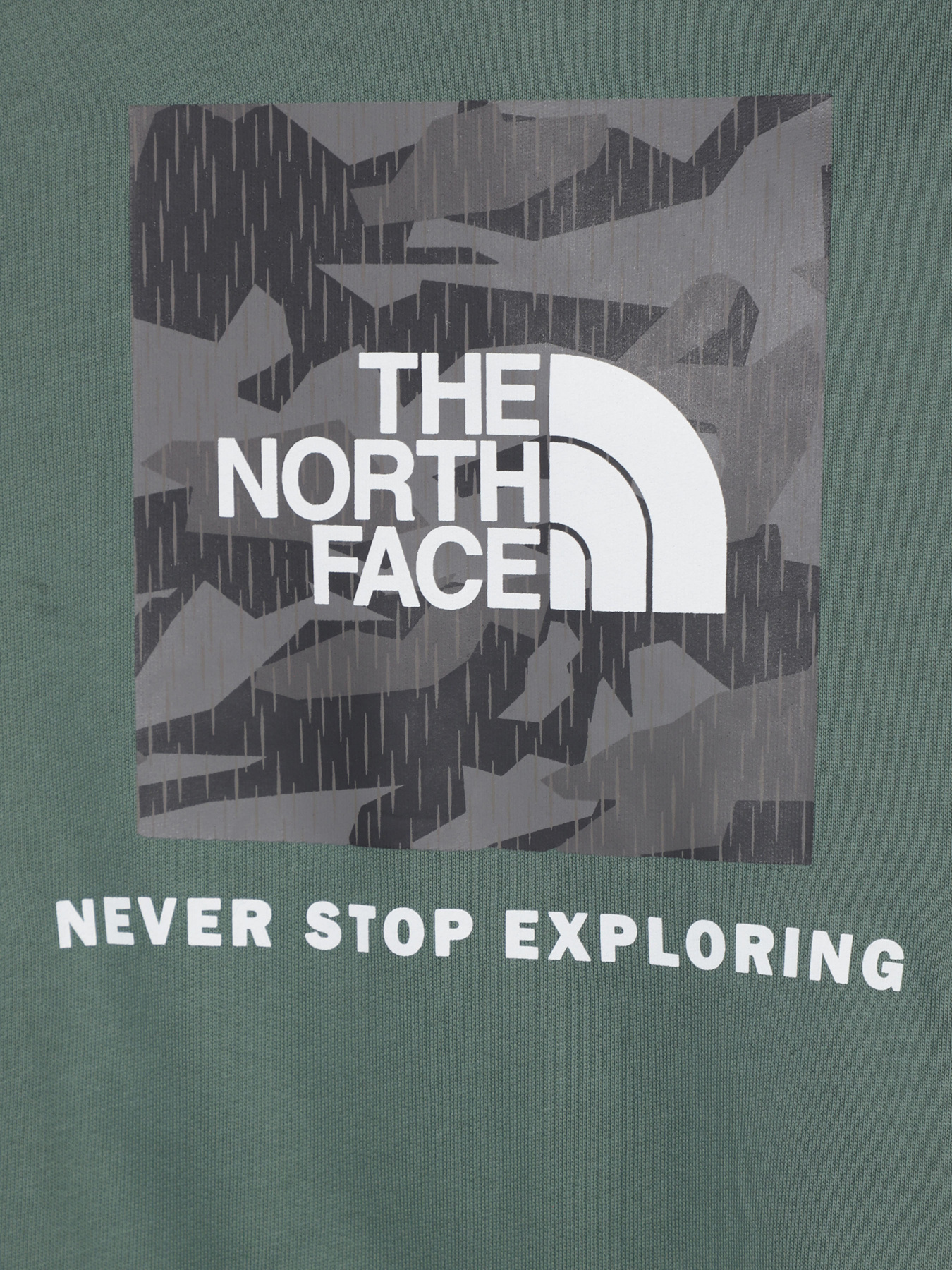 Худи и свитшоты The North Face модель NF0A855BO241 Фото