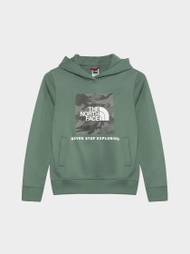 Худи и свитшоты The North Face модель NF0A855BO241 Фото