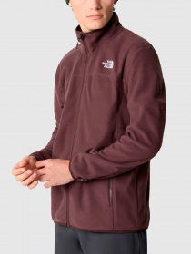 Худи и свитшоты The North Face модель NF0A855XI0I1 Фото