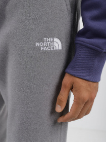 Брюки The North Face модель NF0A8561DYY1 Фото