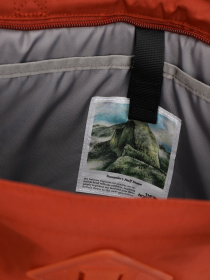 Сумки The North Face модель NF0A52VSKK01 Фото