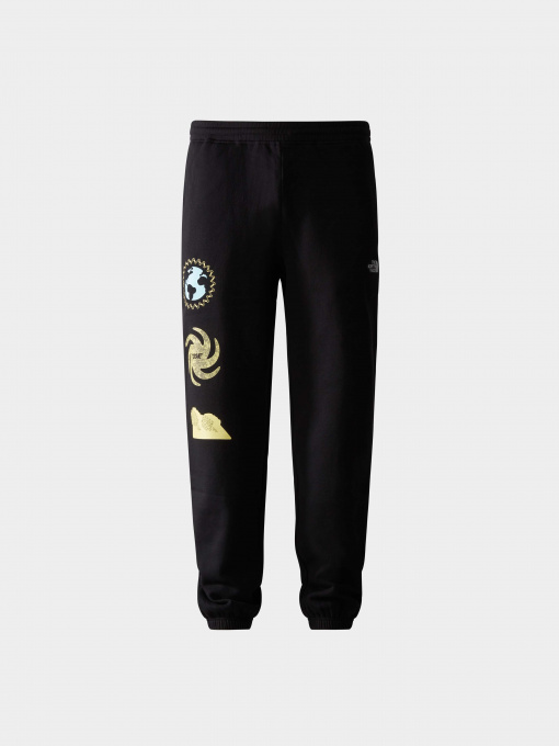 Брюки The North Face модель NF0A7UODOBT1 Фото