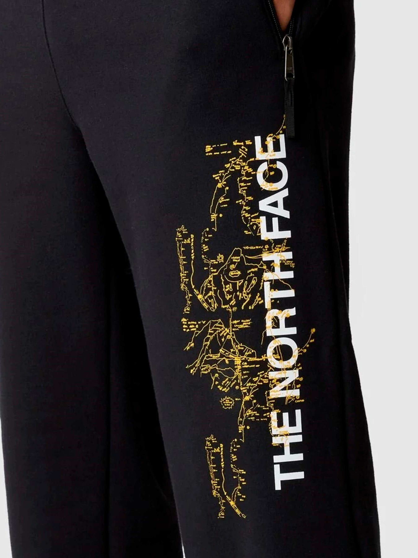 Брюки The North Face модель NF0A84GJOGC1 Фото