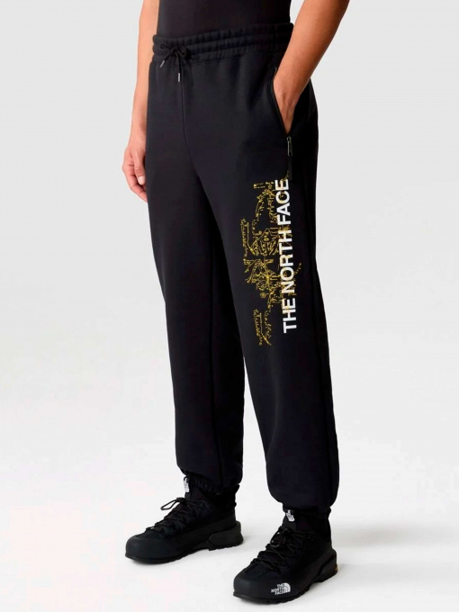 Брюки The North Face модель NF0A84GJOGC1 Фото