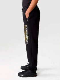 Брюки The North Face модель NF0A84GJOGC1 Фото