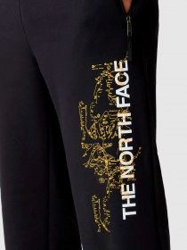 Брюки The North Face модель NF0A84GJOGC1 Фото