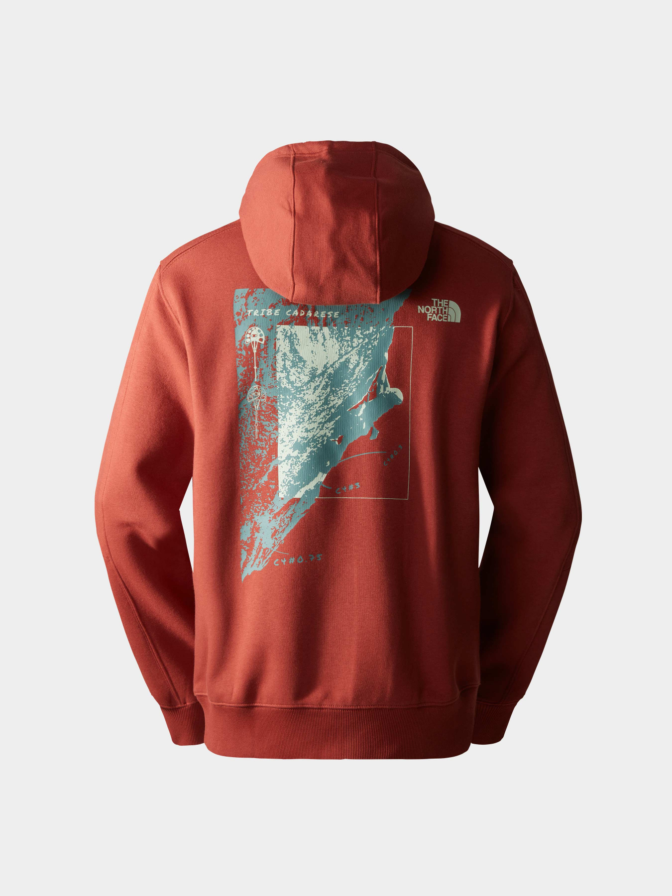 Худи и свитшоты The North Face модель NF0A8522UBC1 Фото