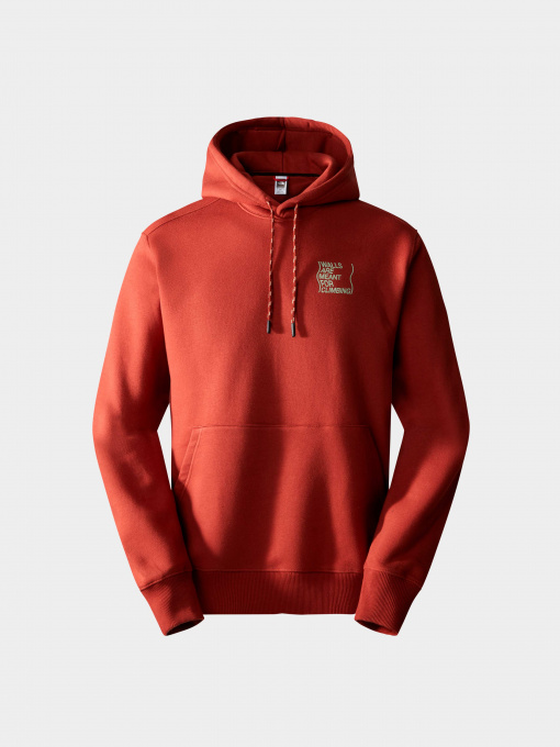 Худи и свитшоты The North Face модель NF0A8522UBC1 Фото