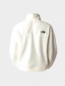 Худи и свитшоты The North Face модель NF0A855PN3N1 Фото