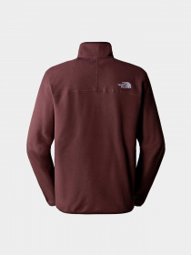 Худи и свитшоты The North Face модель NF0A855WI0I1 Фото
