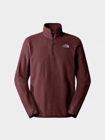 Худи и свитшоты The North Face модель NF0A855WI0I1 Фото