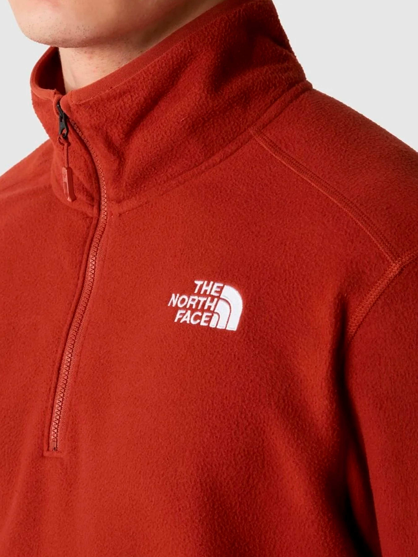 Худи и свитшоты The North Face модель NF0A855WUBC1 Фото