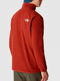 Худи и свитшоты The North Face модель NF0A855WUBC1 Фото
