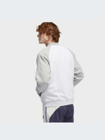 Худи и свитшоты Adidas модель HI2995-KZ Фото