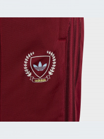 Спортивная одежда Adidas Graphics модель IJ0752-KZ Фото