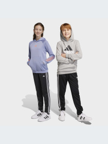 Брюки Adidas модель HY1098-KZ Фото