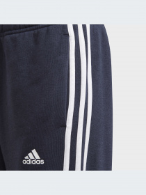 Брюки Adidas модель GQ8898-KZ Фото