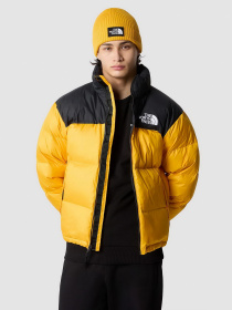 Куртки и дубленки The North Face модель NF0A3C8DZU31 Фото