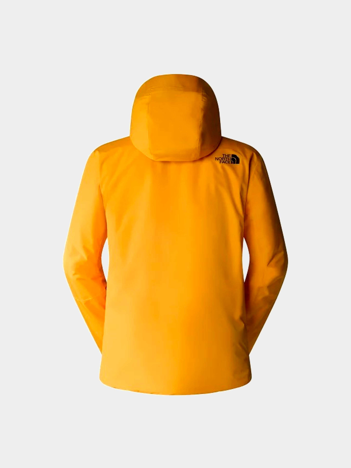 Куртки и дубленки The North Face модель NF0A4QWW56P1 Фото