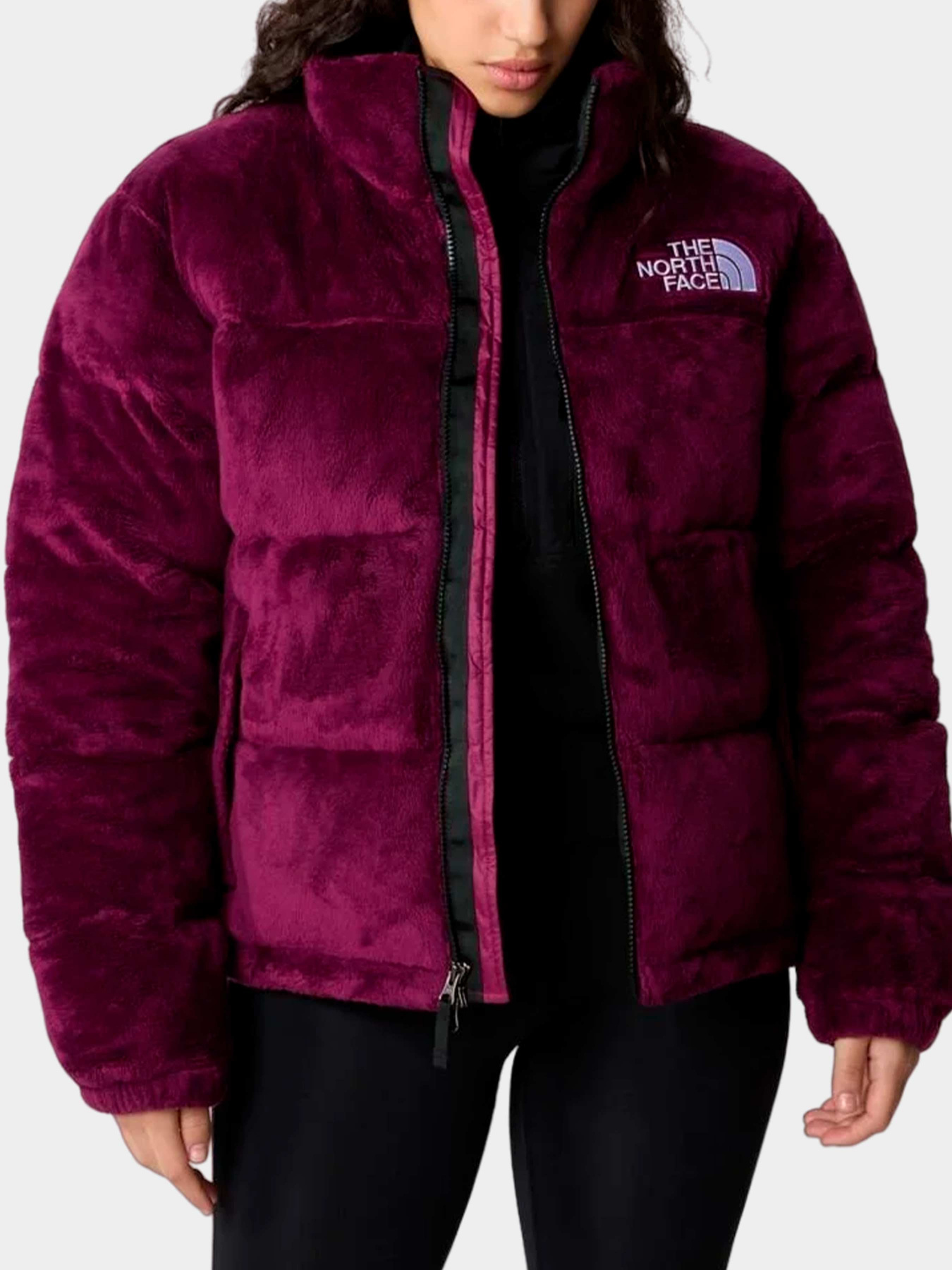 Куртки и дубленки The North Face модель NF0A84F9I0H1 Фото