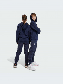 Брюки Adidas модель HY0620-KZ Фото