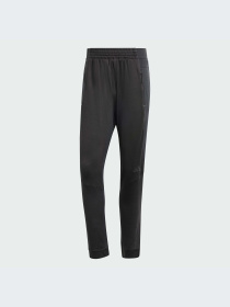 Брюки Adidas модель HY0772-KZ Фото