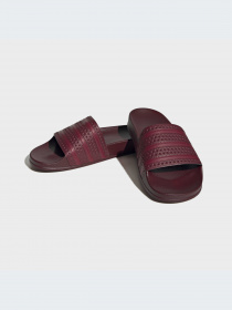 Шлёпанцы Adidas Adilette модель FZ6453-KZ Фото