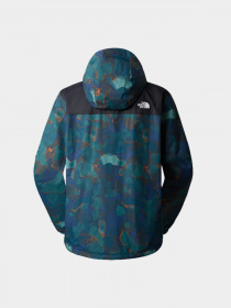 Куртки и дубленки The North Face модель NF0A7QEYO271 Фото