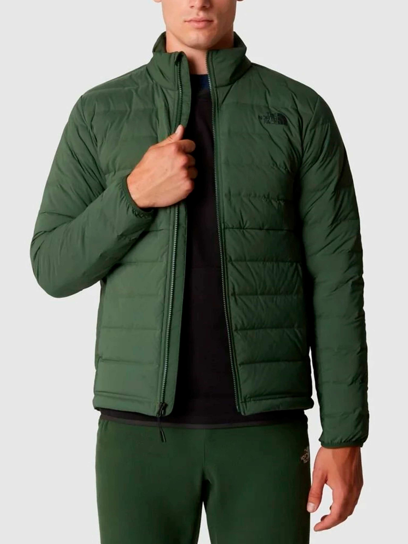 Куртки и дубленки The North Face модель NF0A7UJFI0P1 Фото